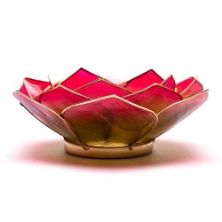 Petalo Loto illuminazione d'atmosfera verde/rosa